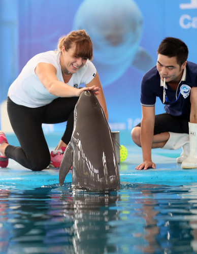 展现出了强 展现出了强